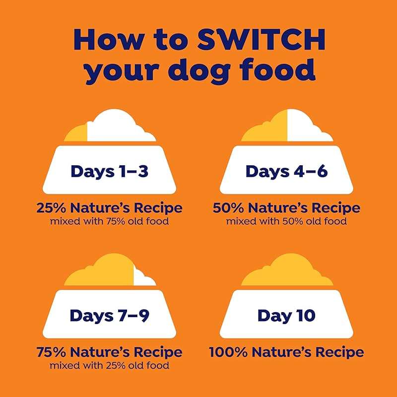 Nature's Recipe Grain Free Salmon, Sweet Potato & Pumpkin Recipe Dry Dog Food, 24 lb. Bag - Image 7