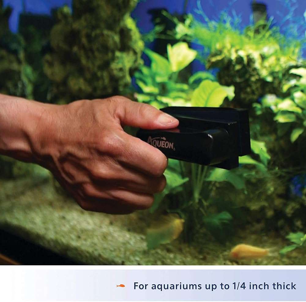 Aqueon Aquarium Algae Scraper, Fish Tank Cleaning Magnets for Glass/Acrylic, Small, Black - Image 6