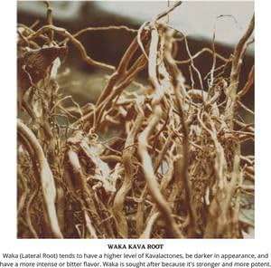 Starwest Botanicals Kava Kava Root C/S, 4 Ounces - Image 3