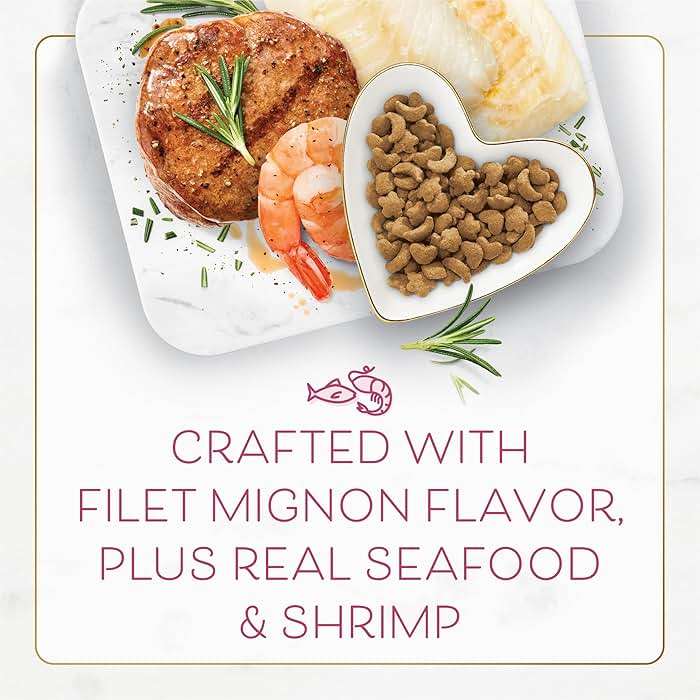 Purina Fancy Feast Dry Cat Food Filet Mignon Flavor with Seafood and Shrimp - 12 lb. Bag - Image 4