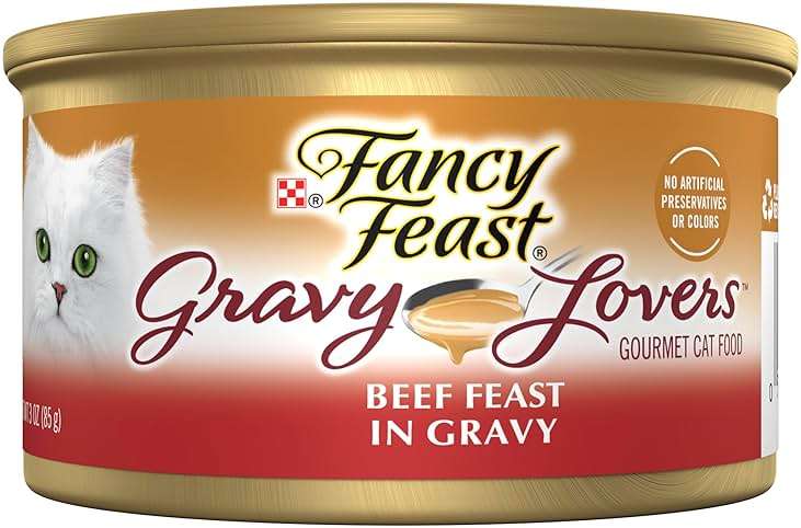 Purina Fancy Feast Gravy Lovers Beef Feast Grilled Gourmet Cat Food in Wet Cat Food Gravy - (Pack of 24) 3 oz. Cans - Image 1