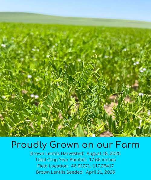 Palouse Brand Certified Glyphosate Residue Free Brown Lentils | 3 LBS Plastic Free Packaging | Family Farmed in Washington State | Non-GMO | 100% Non-Irradiated | Kosher | Field Traced | Cotton Bag - Image 3