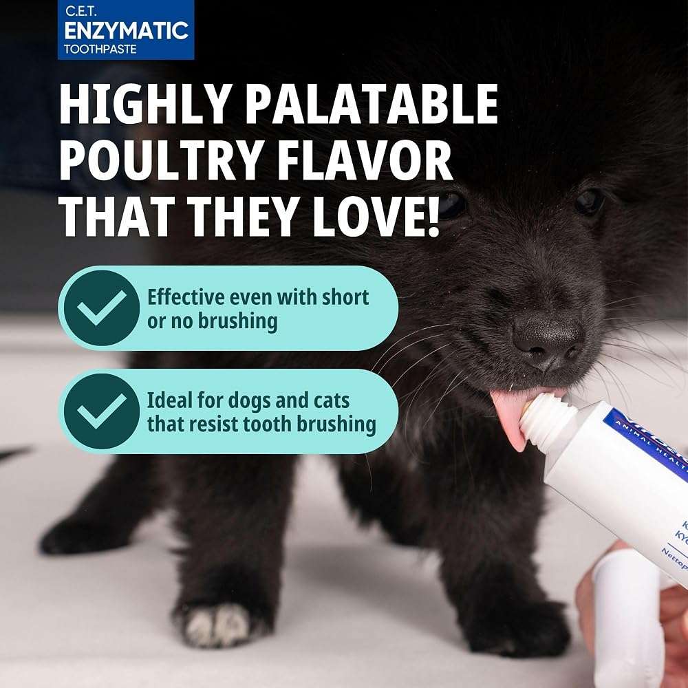 Virbac C.E.T.® Oral Hygiene Kit for Dogs | Poultry-flavor Toothpaste | Fingerbrush and Pet Toothbrush - Image 4