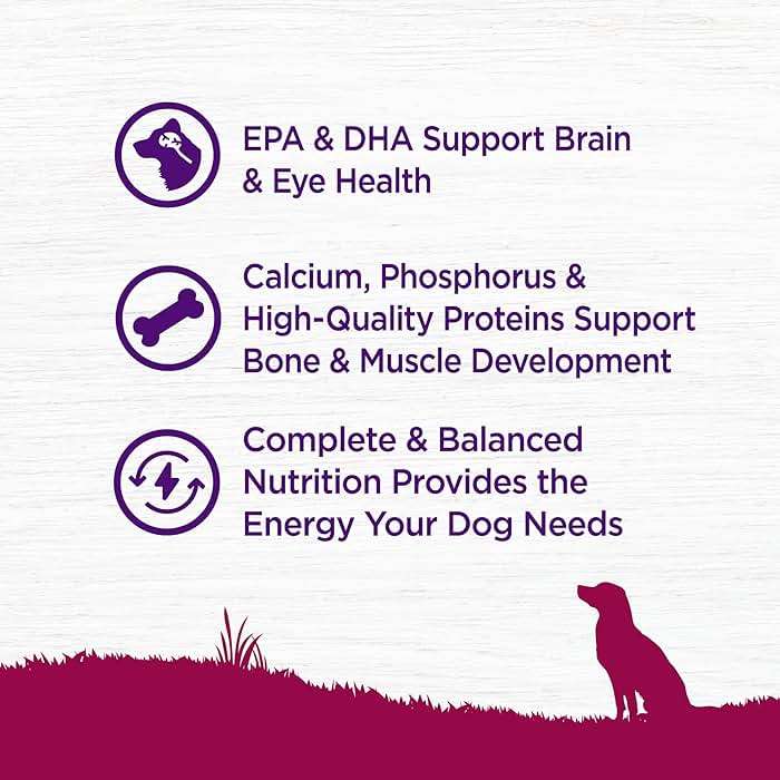 Wellness Complete Health Small Breed Puppy Dry Dog Food, Wholesome Grain Kibble, Natural, Turkey, Oatmeal, and Salmon Recipe, 4 lb Bag - Image 3