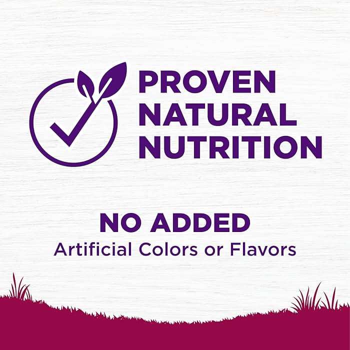 Wellness Complete Health Small Breed Puppy Dry Dog Food, Wholesome Grain Kibble, Natural, Turkey, Oatmeal, and Salmon Recipe, 4 lb Bag - Image 4
