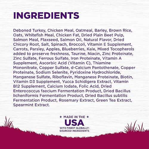 Wellness Complete Health Small Breed Puppy Dry Dog Food, Wholesome Grain Kibble, Natural, Turkey, Oatmeal, and Salmon Recipe, 4 lb Bag - Image 5