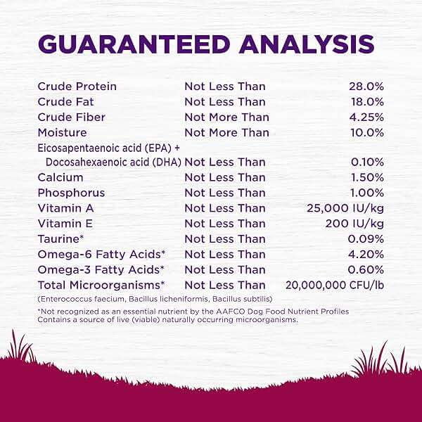 Wellness Complete Health Small Breed Puppy Dry Dog Food, Wholesome Grain Kibble, Natural, Turkey, Oatmeal, and Salmon Recipe, 4 lb Bag - Image 6