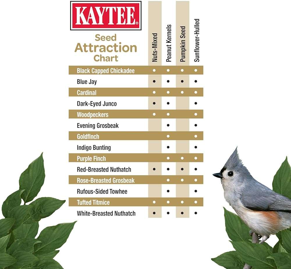 Kaytee Wild Bird Ultra No Mess Nut & Fruit Food Seed Blend For Blue Jays, Woodpeckers, Juncos, Cardinals, Grosbeaks, Sparrows, and Finches, 5.5 Pound - Image 7