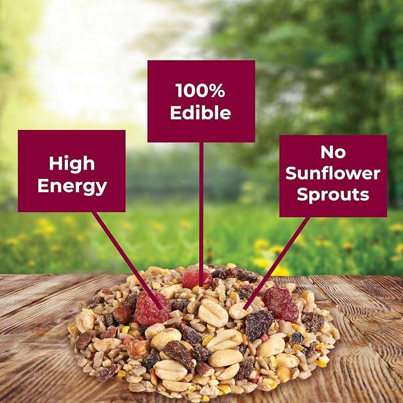 Kaytee Wild Bird Ultra No Mess Nut & Fruit Food Seed Blend For Blue Jays, Woodpeckers, Juncos, Cardinals, Grosbeaks, Sparrows, and Finches, 5.5 Pound - Image 8