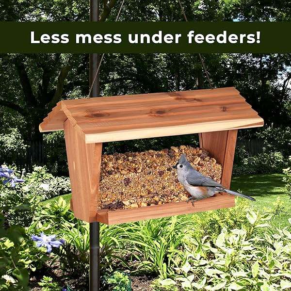 Kaytee Wild Bird Ultra No Mess Nut & Fruit Food Seed Blend For Blue Jays, Woodpeckers, Juncos, Cardinals, Grosbeaks, Sparrows, and Finches, 5.5 Pound - Image 10