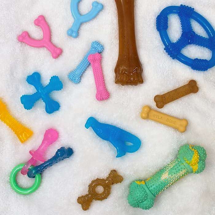 Nylabone Ring Bone Chew Toy for Puppies, Puppy Teething Toys, Puppy Enrichment Toys, Chicken Flavor, X-Small Dogs - Up to 15 lbs, 1 Count - Image 8