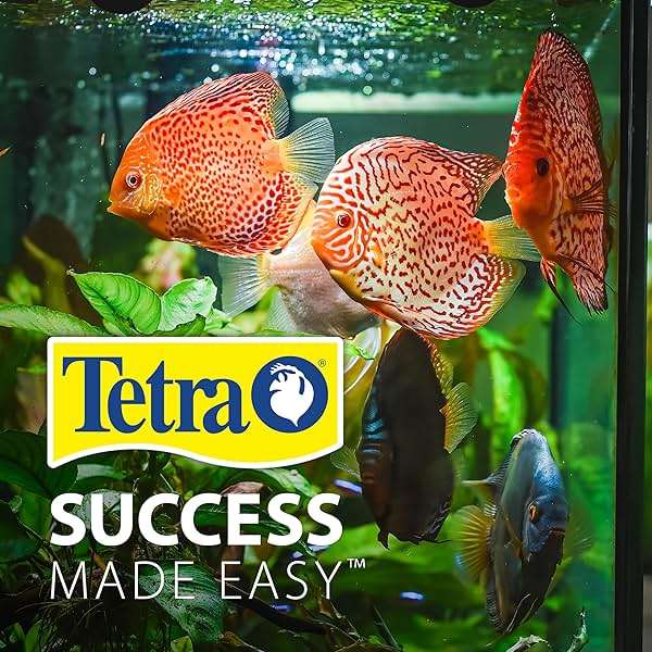 Tetra 3 Gallon Small Fish Tank, Aquarium Starter Kit, with Filter, Air pump, & Color Changing Light, Half Moon shape, for Gold Fish & Betta - Image 11