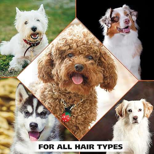 Wahl USA Dry Skin & Itch Relief Pet Shampoo for Dogs – Oatmeal Formula with Coconut Lime Verbena Scent & Pet Friendly Formula, 24 Oz - Model 820004A - Image 9