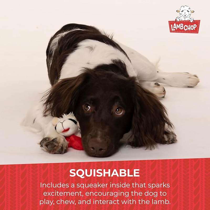 Multipet Lamb Chop Dog Plush Toy - Squeaky Toy for All Dogs - Extra Soft Plush - Stuffed Animal Dog Toy for Cuddling & Playing - Cute Pet Toy (6", Cream) - Image 5