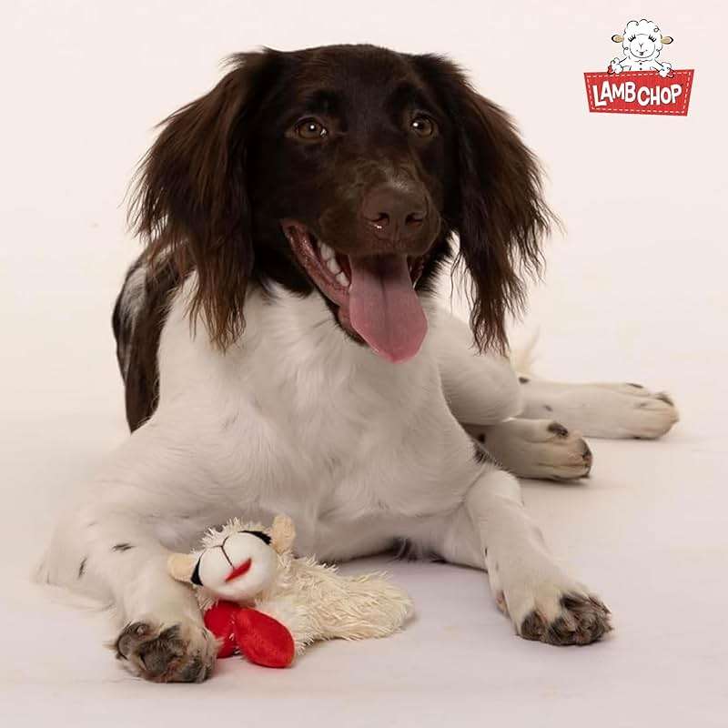 Multipet Lamb Chop Dog Plush Toy - Squeaky Toy for All Dogs - Extra Soft Plush - Stuffed Animal Dog Toy for Cuddling & Playing - Cute Pet Toy (6", Cream) - Image 9