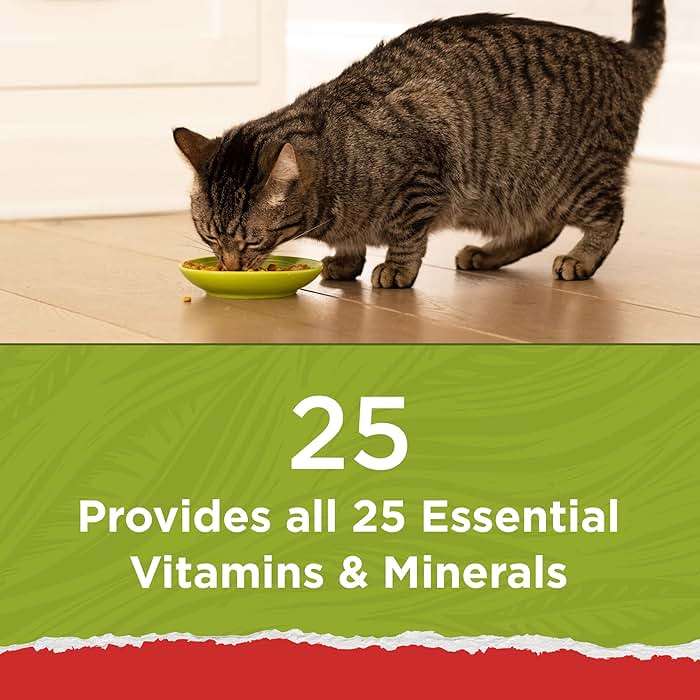 Purina Cat Chow Naturals With Added Vitamins, Minerals and Nutrients Dry Cat Food, Naturals Original - 13 lb. Bag - Image 4