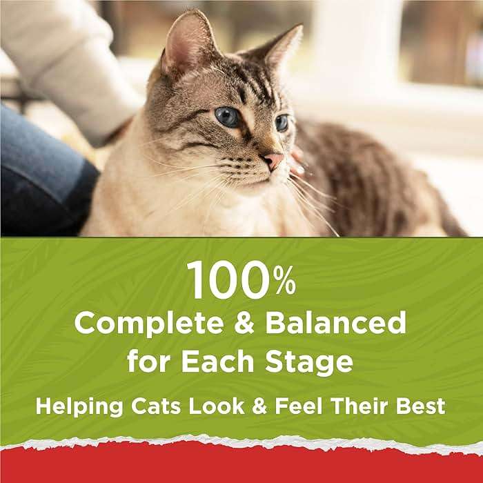Purina Cat Chow Naturals With Added Vitamins, Minerals and Nutrients Dry Cat Food, Naturals Original - 13 lb. Bag - Image 9