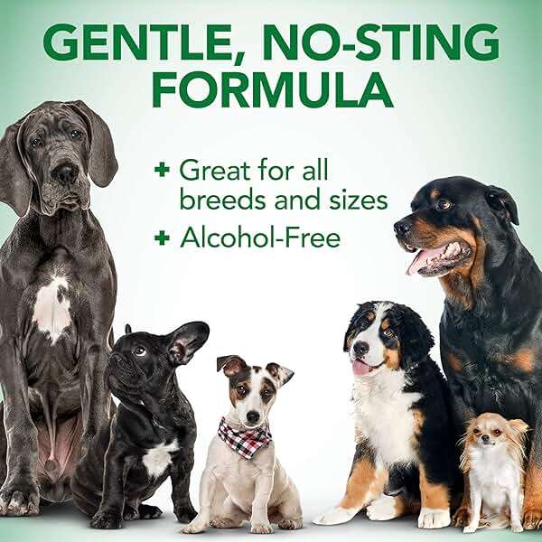 Vet's Best Dry Ear Relief for Dogs, 4 oz - Image 6