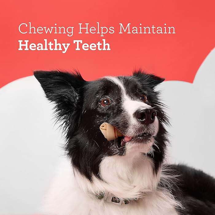 DreamBone Chicken Mini Bone Dog Treats, Daily Rawhide-Free Chew, Digests Safely and Completely, With Real Protein, Chicken and Veggies, 24 count - Image 7