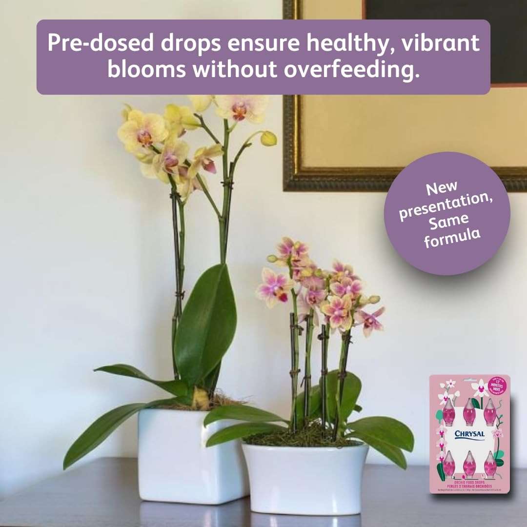 Chrysal Orchid Food Drops — Orchid Care — One Pack for a Year Supply — Concentrated Flower Food for All Species of Orchids — Ideal Florist Supplies — Outdoor and Indoor Plant Food - Image 3