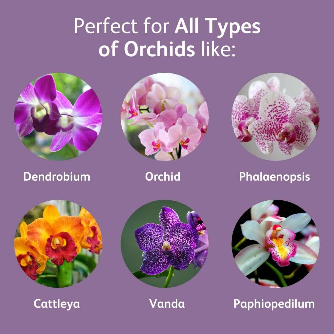 Chrysal Orchid Food Drops — Orchid Care — One Pack for a Year Supply — Concentrated Flower Food for All Species of Orchids — Ideal Florist Supplies — Outdoor and Indoor Plant Food - Image 4