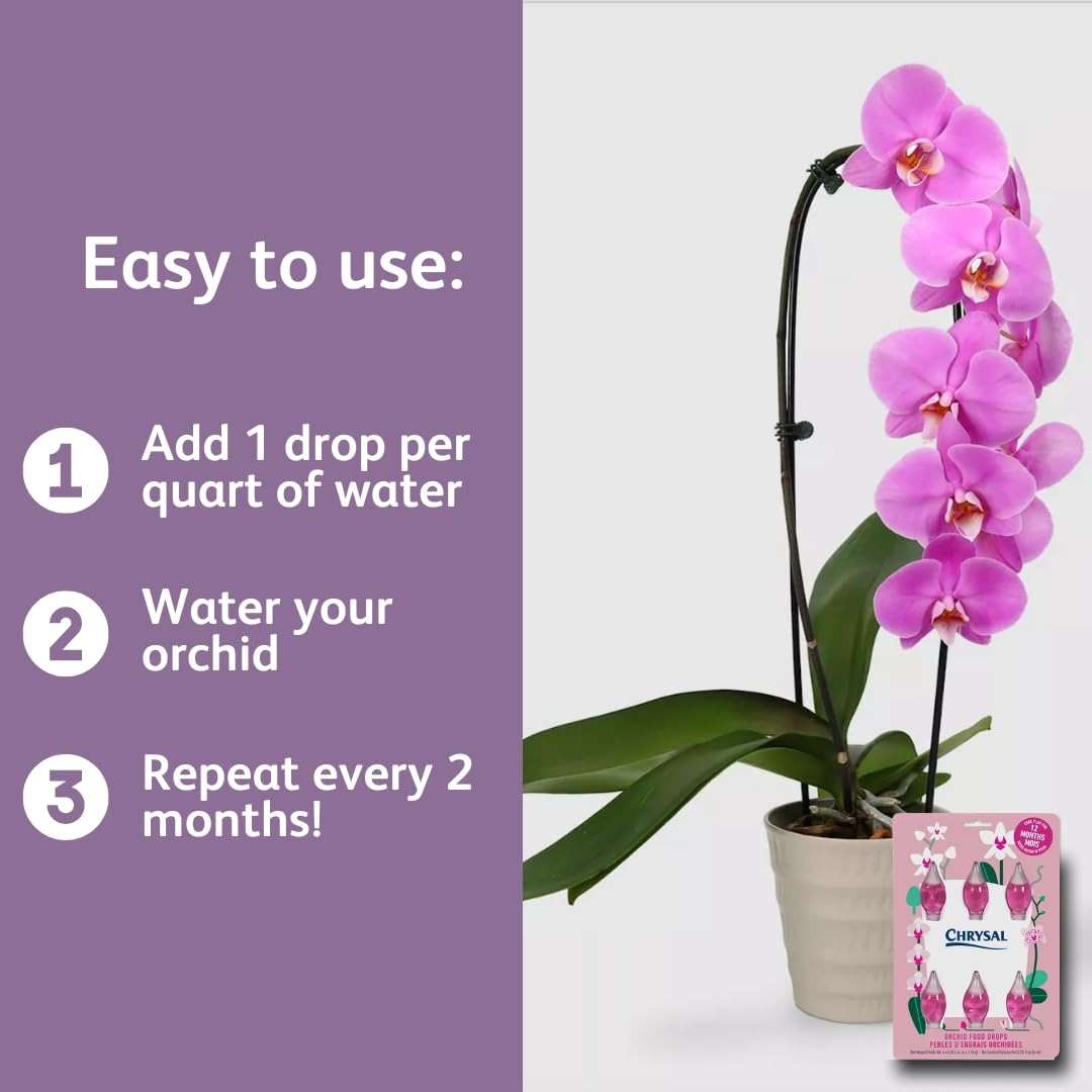 Chrysal Orchid Food Drops — Orchid Care — One Pack for a Year Supply — Concentrated Flower Food for All Species of Orchids — Ideal Florist Supplies — Outdoor and Indoor Plant Food - Image 6