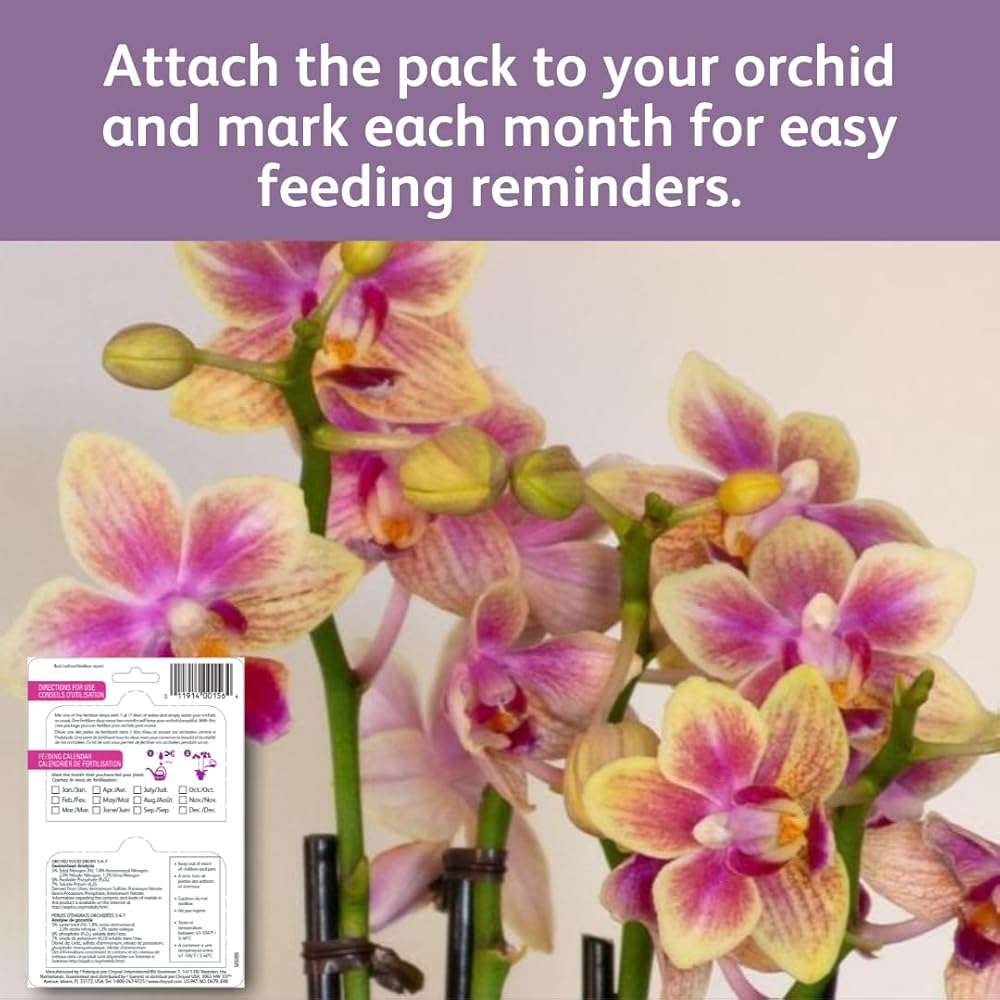 Chrysal Orchid Food Drops — Orchid Care — One Pack for a Year Supply — Concentrated Flower Food for All Species of Orchids — Ideal Florist Supplies — Outdoor and Indoor Plant Food - Image 9