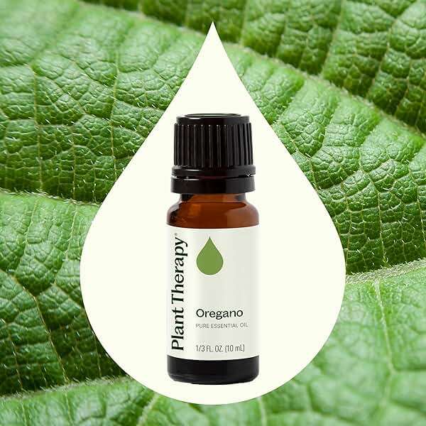 Plant Therapy Oregano Essential Oil 10 mL (1/3 oz), 100% Pure, Undiluted, Natural Aromatherapy, for Gut Health and Immune Support - Image 3