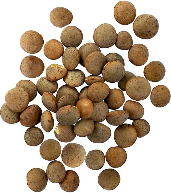 Palouse Brand Certified Glyphosate Residue Free Brown Lentils | 25 LBS | Bulk | Desiccant Free | Sproutable | Non-GMO Project Verified | Kosher - Image 2