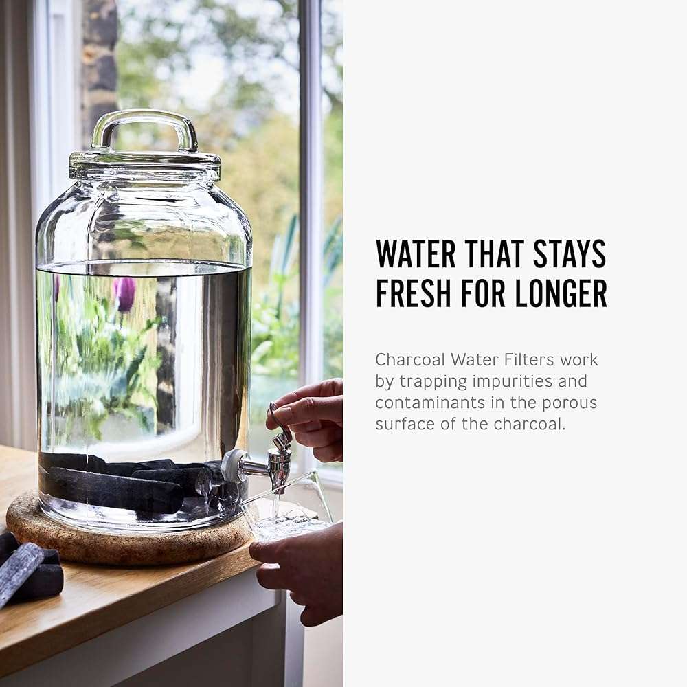 Black + Blum Charcoal Water Filter Sticks | Charcoal Filter Hydration Old Japanese Tradition, Lasting 6 Months Each, Wood Black (1 Piece) - Image 5