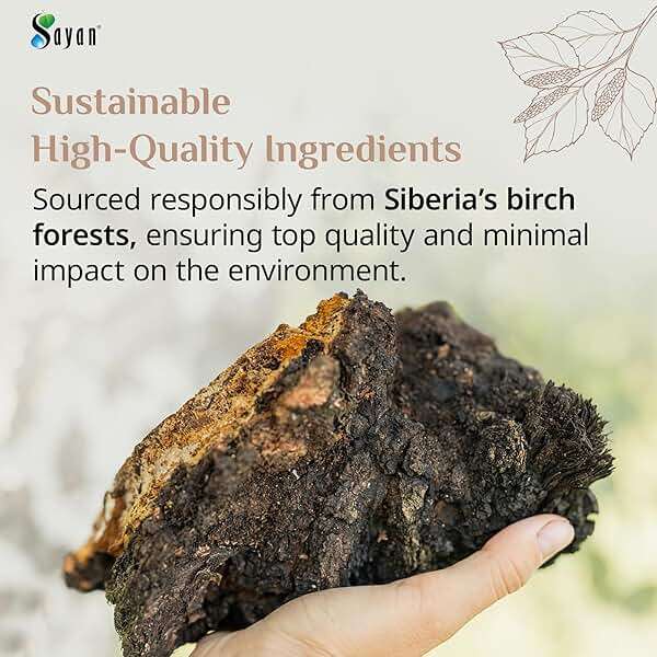 Sayan Siberian Chaga Mushroom Extract Powder (2.2 Lb) Freeze Dried Siberian Wild Harvested, Organic Antioxidant Tea for Immune and Digestion Support, Focus, Energy, Clarity, Wellness - No Additives - Image 5
