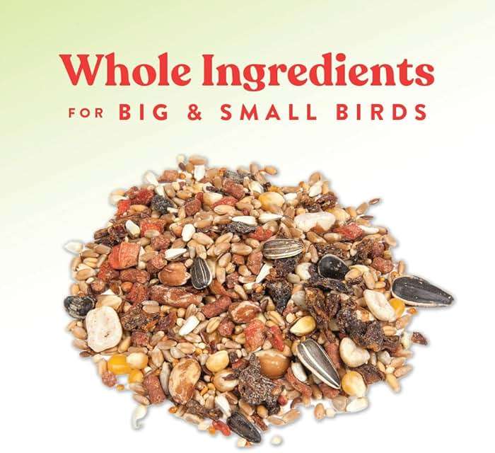 Manna Pro Harvest Delight Poultry Treat, Whole Grain & Seed Mix with Fruits & Vegetables, 14% Protein Snack for Chickens, Ducks & Mixed Flocks, 2.25 lb - Image 4