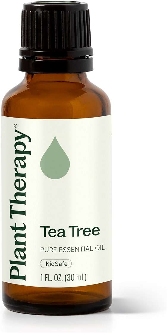 Plant Therapy Tea Tree Essential Oil 100% Pure, Undiluted, Natural Aromatherapy, Therapeutic Grade 30 mL (1 oz) - Image 1