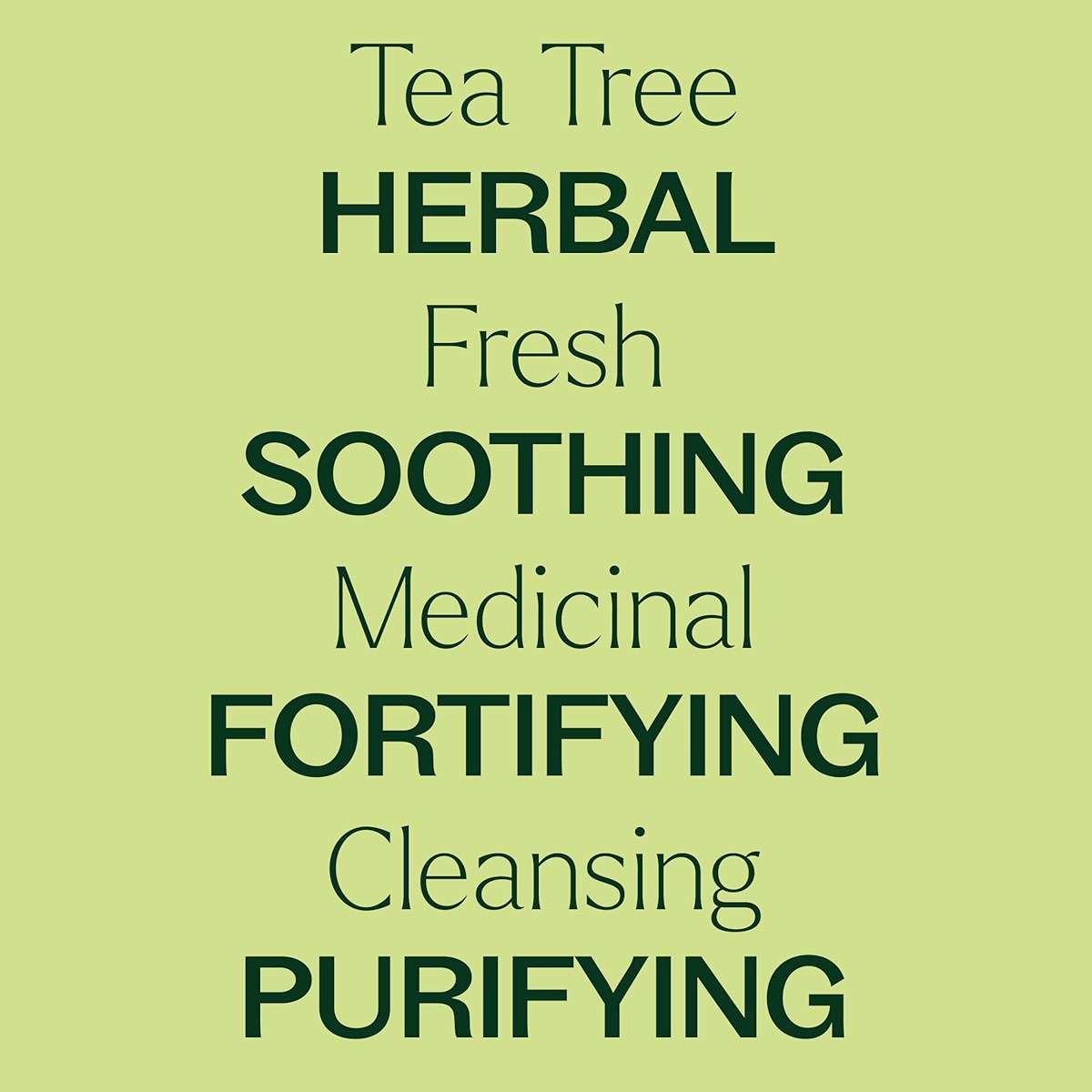 Plant Therapy Tea Tree Essential Oil 100% Pure, Undiluted, Natural Aromatherapy, Therapeutic Grade 30 mL (1 oz) - Image 4