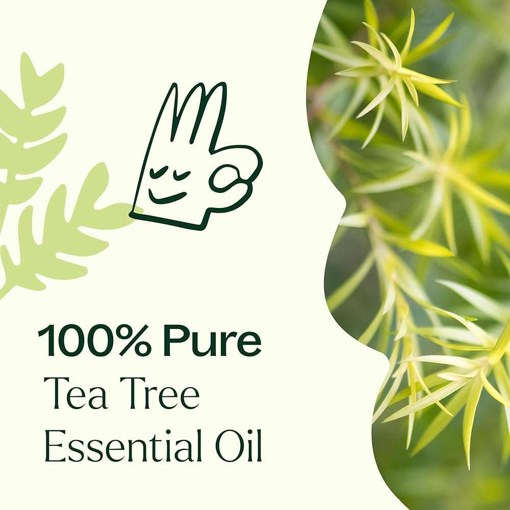 Plant Therapy Tea Tree Essential Oil 100% Pure, Undiluted, Natural Aromatherapy, Therapeutic Grade 30 mL (1 oz) - Image 5