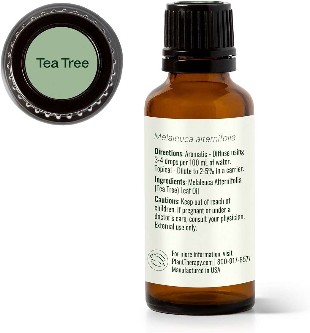 Plant Therapy Tea Tree Essential Oil 100% Pure, Undiluted, Natural Aromatherapy, Therapeutic Grade 30 mL (1 oz) - Image 8