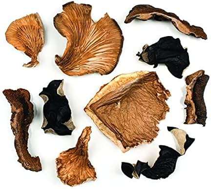 Roland Foods Premium Dried Mixed Wild Mushrooms, Specialty Imported Food, 1.41-Ounce Jar - Image 2