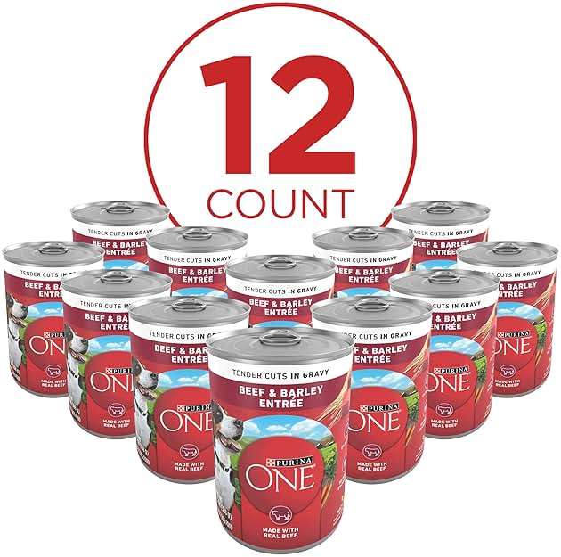 Purina ONE Natural Wet Dog Food Gravy, Tender Cuts in Gravy Beef and Barley Entrée - 13 Ounce (Pack of 12) - Image 2
