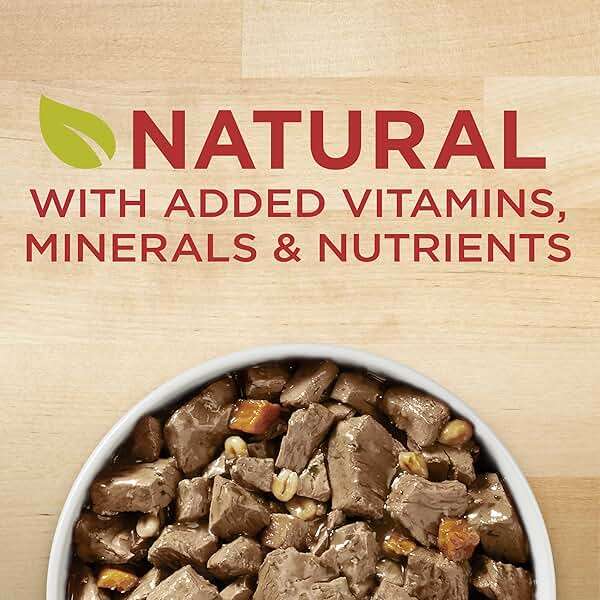Purina ONE Natural Wet Dog Food Gravy, Tender Cuts in Gravy Beef and Barley Entrée - 13 Ounce (Pack of 12) - Image 4