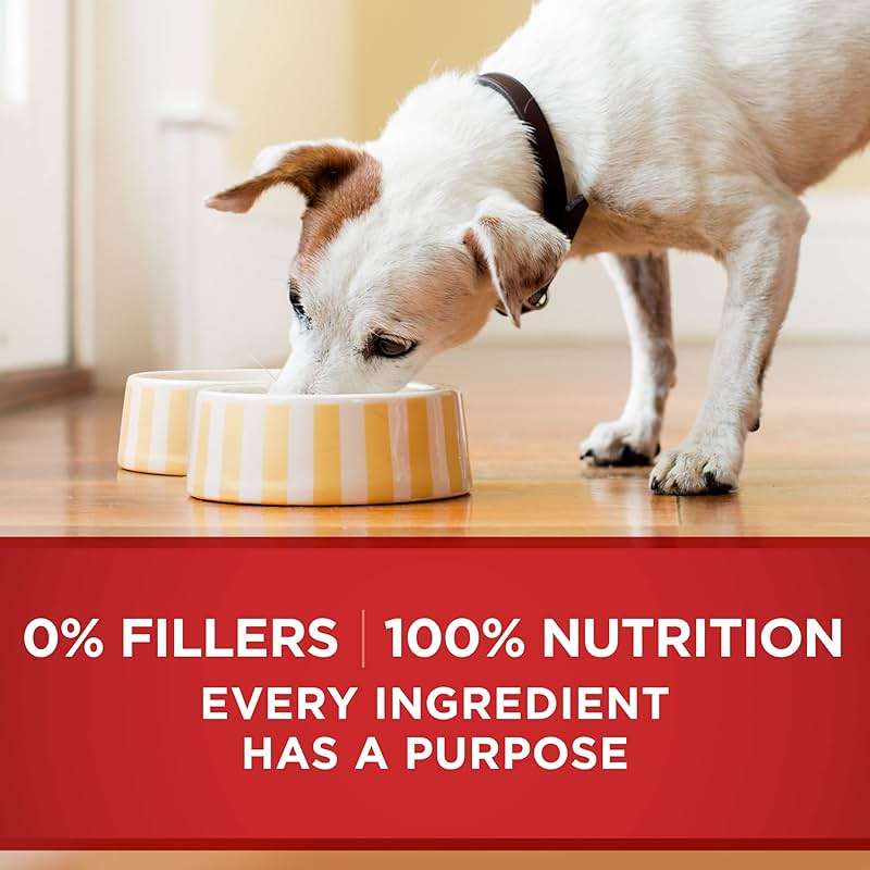 Purina ONE Natural Wet Dog Food Gravy, Tender Cuts in Gravy Beef and Barley Entrée - 13 Ounce (Pack of 12) - Image 8