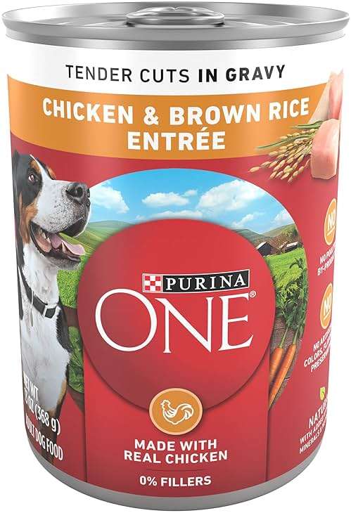 Purina ONE Natural High Protein Dog Food, Tender Cuts in Gravy Chicken and Brown Rice Entrée - 13 Ounce (Pack of 12) - Image 1