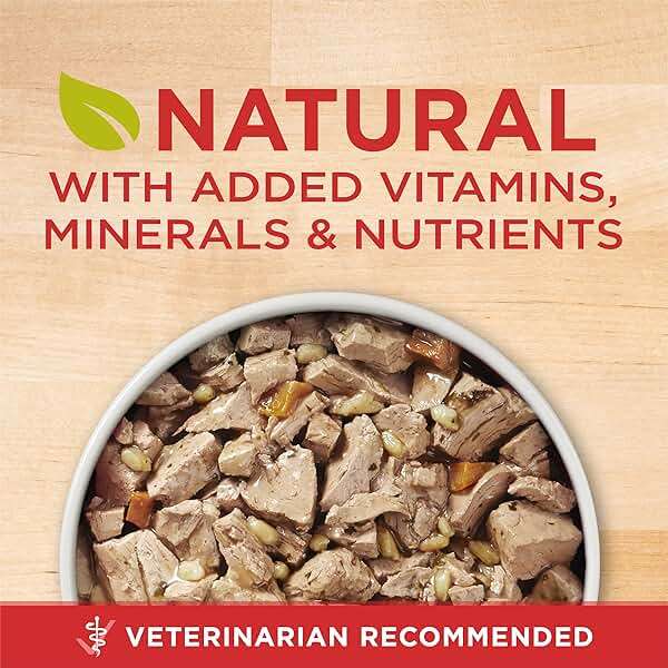 Purina ONE Natural High Protein Dog Food, Tender Cuts in Gravy Chicken and Brown Rice Entrée - 13 Ounce (Pack of 12) - Image 2