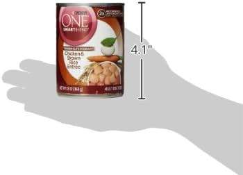 Purina ONE Natural High Protein Dog Food, Tender Cuts in Gravy Chicken and Brown Rice Entrée - 13 Ounce (Pack of 12) - Image 3