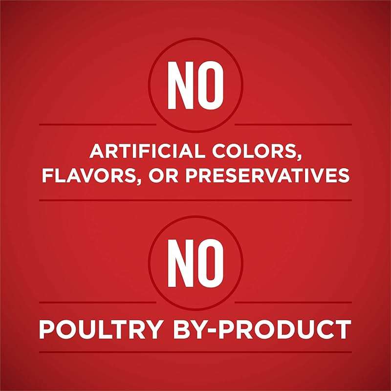 Purina ONE Natural High Protein Dog Food, Tender Cuts in Gravy Chicken and Brown Rice Entrée - 13 Ounce (Pack of 12) - Image 5