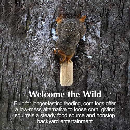 C&S Sweet Corn Squirrelog, 6-Pack Refill - Image 4