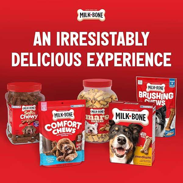 Milk-Bone Soft & Chewy Dog Treats, 25 Oz. Canister | Made with real beef & filet mignon, tender dog treats, easy to chew, for dogs of all ages and sizes - Image 7