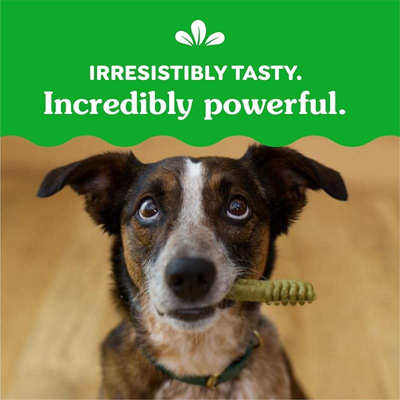 Greenies Veterinarian-Recommended Adult Natural Dental Dog Treats Regular Size, Dog Dental Chews, Original Flavor, 36 oz. Pack, 36 Count - Image 9