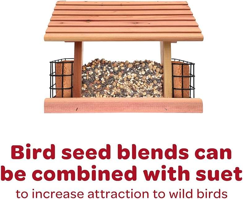 Kaytee Western Regional Wild Bird Seed, 7 lb - Image 12