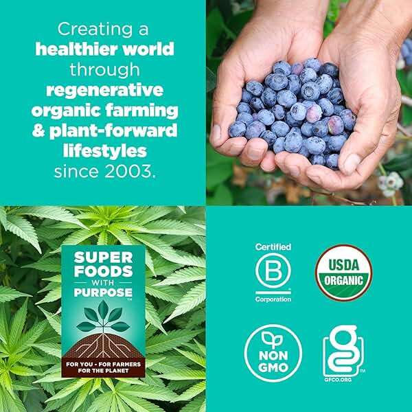 Navitas Organics Superfood Power Snacks, Blueberry Hemp, 8oz. Bag, 11 Servings - Organic, Non-GMO, Gluten-Free - Image 6