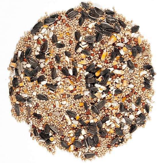Wagner's 62008 Western Regional Blend Wild Bird Food, 20-Pound Bag - Image 3